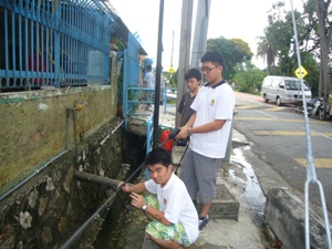 bg-4-08 bg-4-08